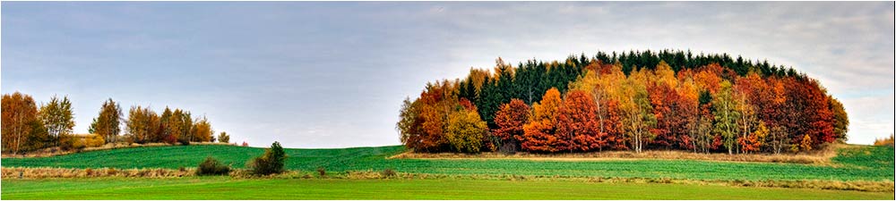 Dzierżoniowscy Artyści.