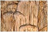 Jaskinia Niedźwiedzia w Kletnie znajduje się w Masywie Śnieżnika Kłodzkiego, na prawym zboczu doliny Kleśnicy, w bloku marmurów leżącym w górze Stromej (1166,8 m n.p.m.). Fotografie: Tomasz Janeczko - 27.08.2012 r.