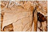 Jaskinia Niedźwiedzia w Kletnie znajduje się w Masywie Śnieżnika Kłodzkiego, na prawym zboczu doliny Kleśnicy, w bloku marmurów leżącym w górze Stromej (1166,8 m n.p.m.). Fotografie: Tomasz Janeczko - 27.08.2012 r.