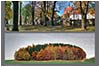 3. plenerowa wystawa fotograficzna Sudeckiego Towarzystwa Fotograficznego - Dzierżoniów Rynek.